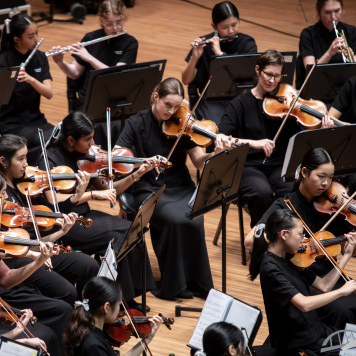 Somerville Symphony Orchestra